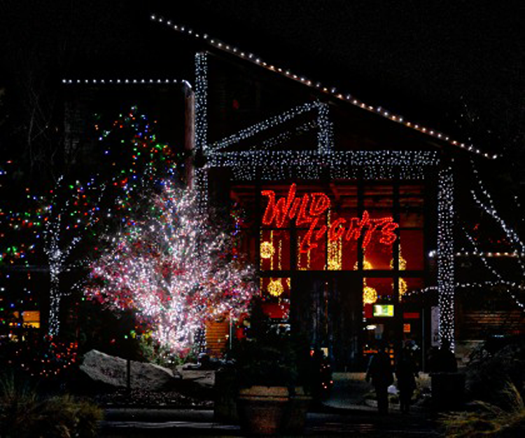 Holiday events in Canton and Akron Ohio Wild Lights Akron Zoo