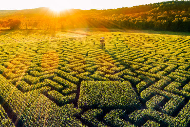 Fall Corn Mazes - Explore Ohio - Cutler Real Estate